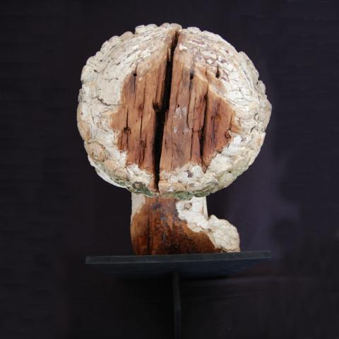 Eduardo Rivera Silva