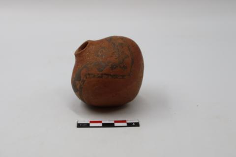 José Tomás Carrasco