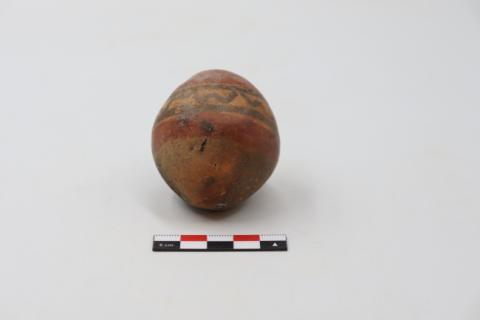 José Tomás Carrasco