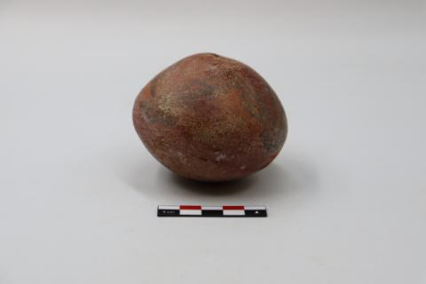 José Tomás Carrasco