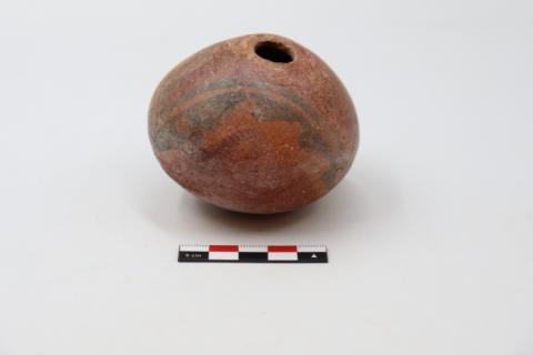 José Tomás Carrasco