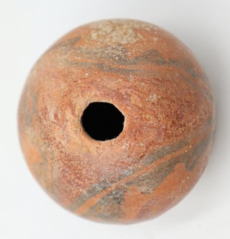 José Tomás Carrasco