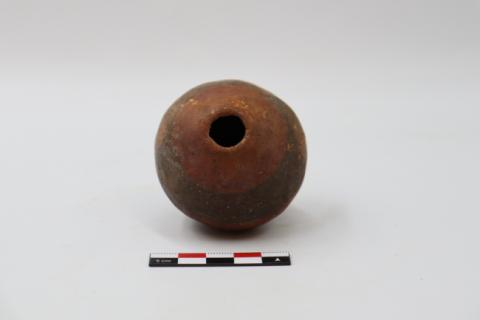 José Tomás Carrasco