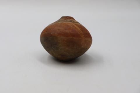 José Tomás Carrasco