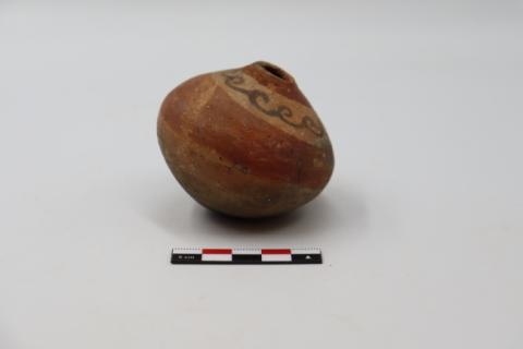 José Tomás Carrasco