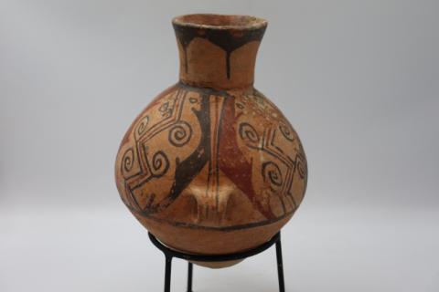 José Tomás Carrasco