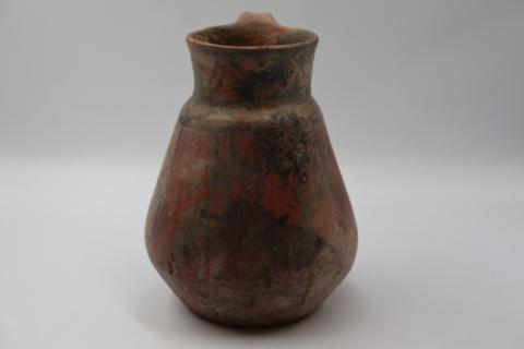 José Tomás Carrasco