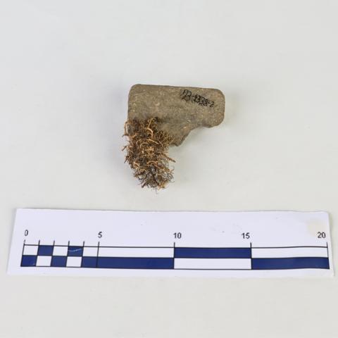 Equipo de registro MRM