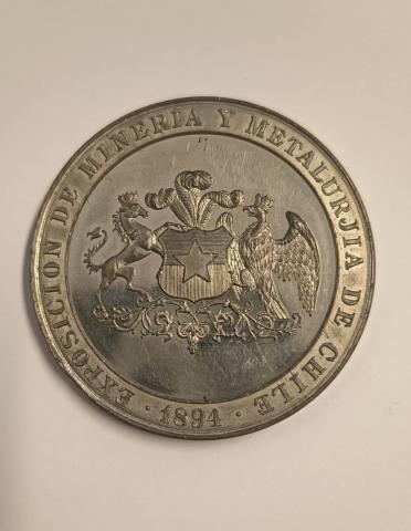 María José Martínez F.