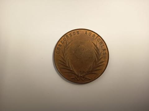 María José Martínez F