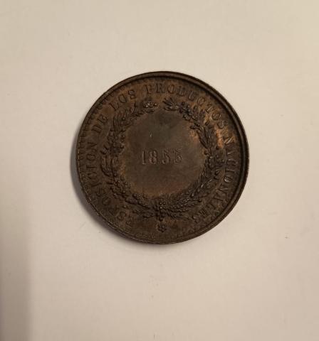 María José Martínez F