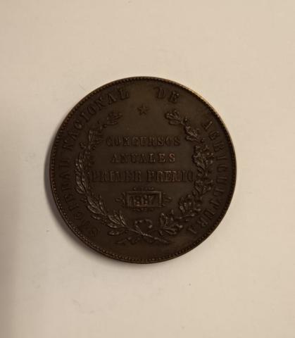 María José Martínez F.