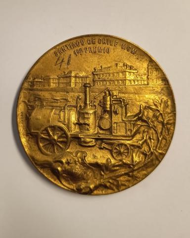 María José Martínez F