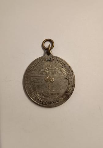 María José Martínez F