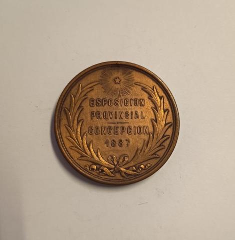 María José Martínez F