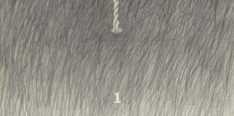 Carolina Correa Orozco