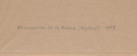 Carolina Correa Orozco