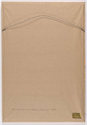 Carolina Correa Orozco