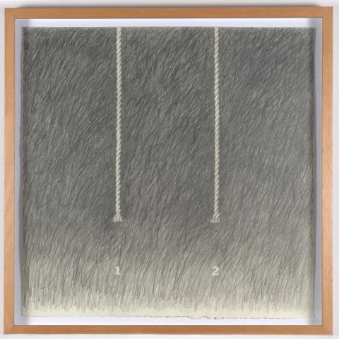 Carolina Correa Orozco