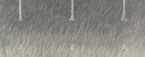 Carolina Correa Orozco