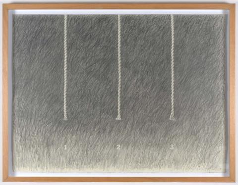 Carolina Correa Orozco