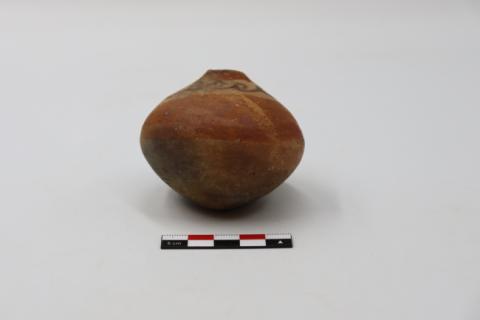 José Tomás Carrasco