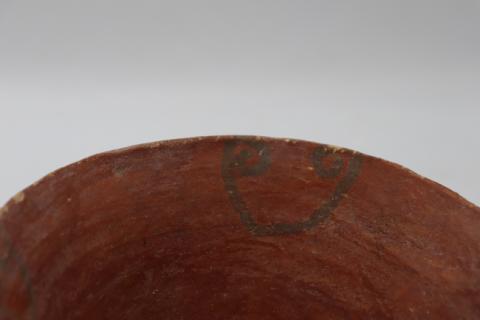 José Tomás Carrasco