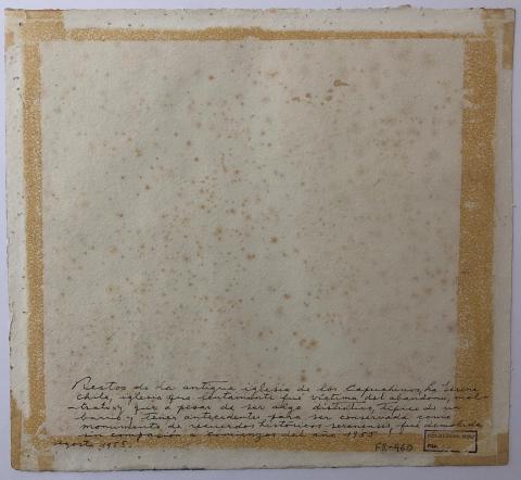 Bárbara Montecinos Loyola