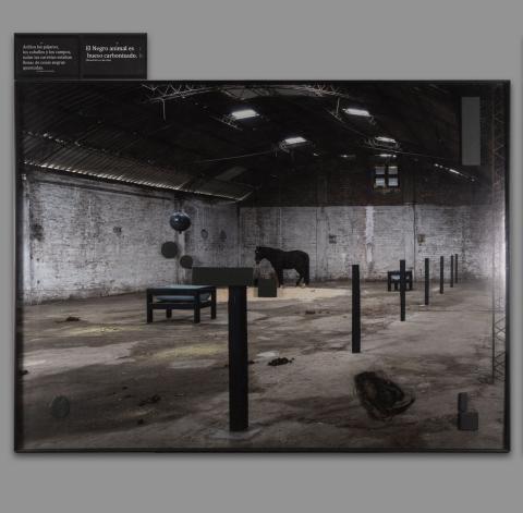 Carolina Correa Orozco