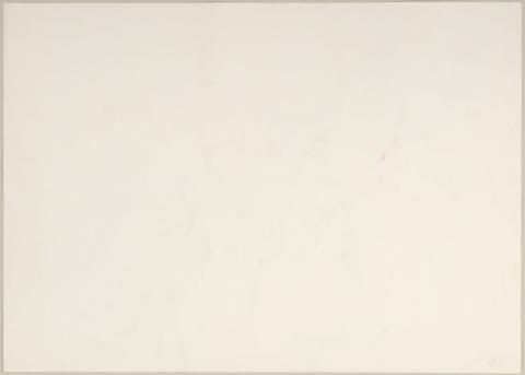 Carolina Correa Orozco