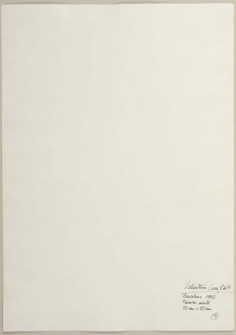 Carolina Correa Orozco