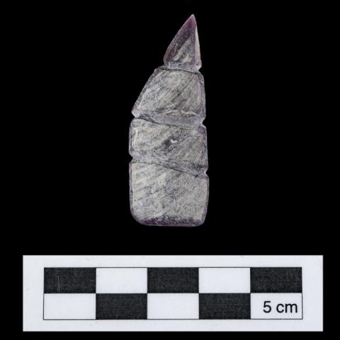 Ricardo Cossio Maggi