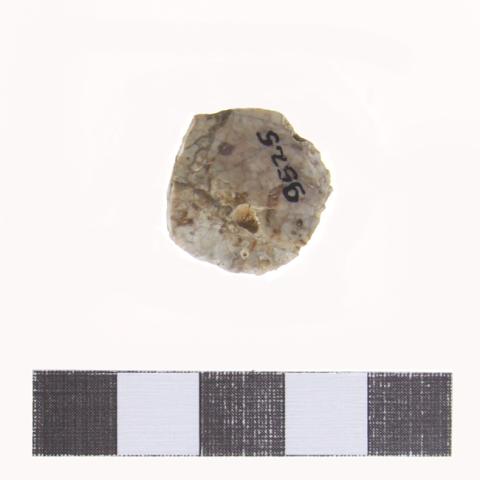 Luis Felipe Mansilla Mánquez