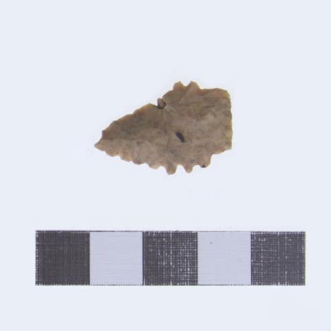 Luis Felipe Mansilla Mánquez