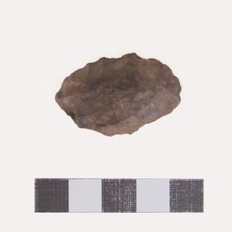 Luis Felipe Mansilla Mánquez