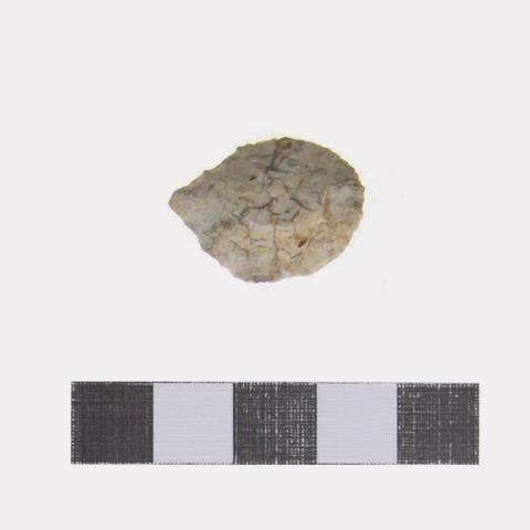 Luis Felipe Mansilla Mánquez