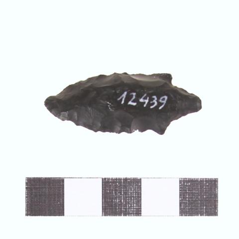 Luis Felipe Mansilla Mánquez