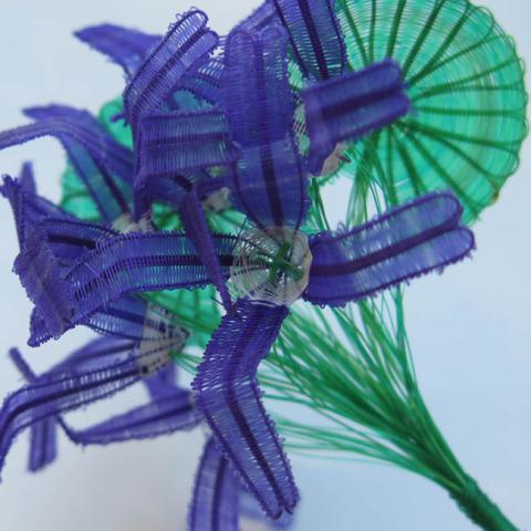 Margarita Valenzuela Dabiké