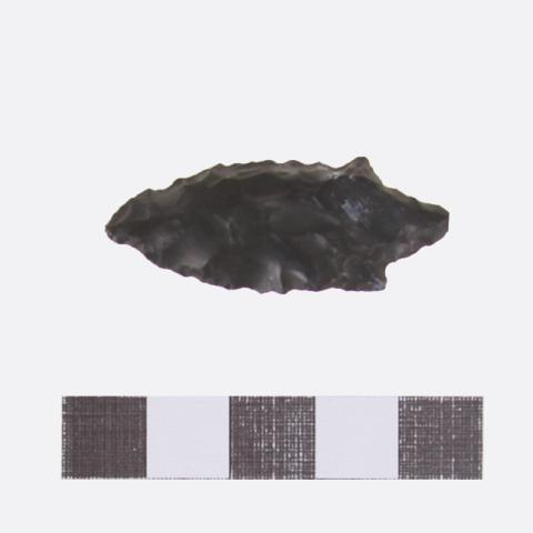 Luis Felipe Mansilla Mánquez