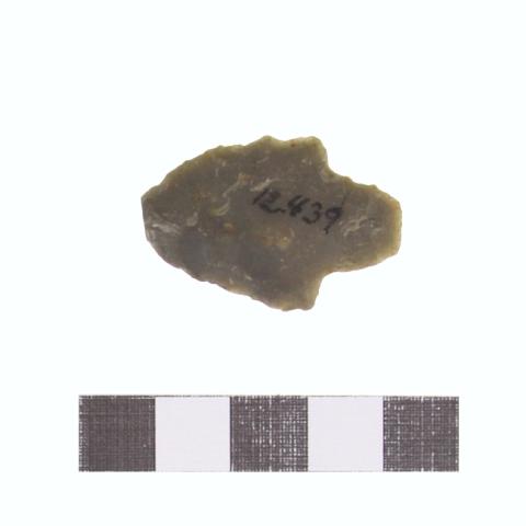 Luis Felipe Mansilla Mánquez