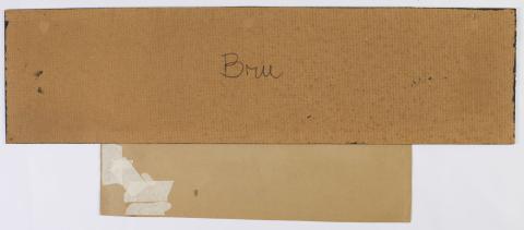 Lorena Alejandra Ormeño Bustos