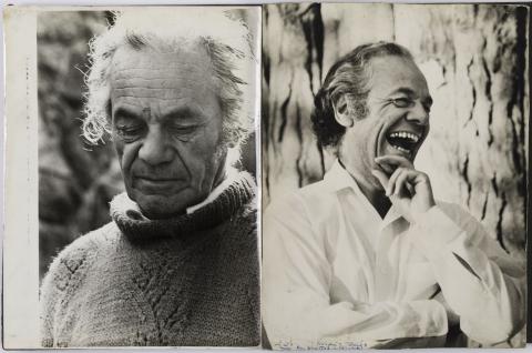 Lorena Alejandra Ormeño Bustos