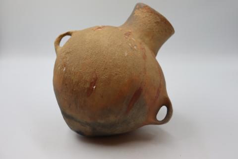 José Tomás Carrasco