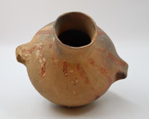 José Tomás Carrasco