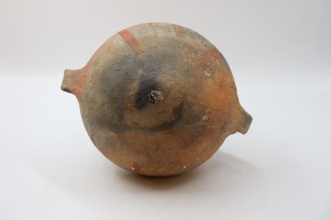 José Tomás Carrasco