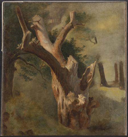 Carolina Correa Orozco