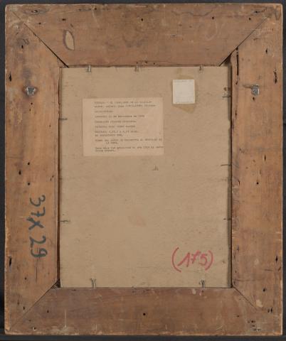 Carolina Correa Orozco