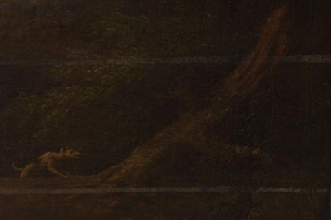 Carolina Correa Orozco