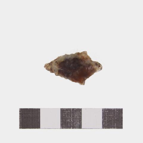 Luis Felipe Mansilla Mánquez