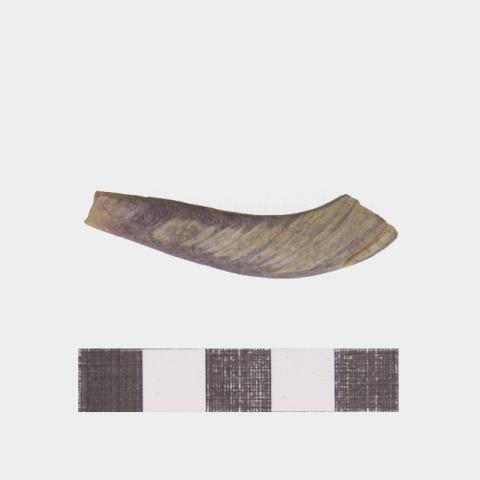 Luis Felipe Mansilla Mánquez